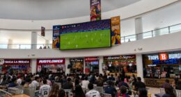 Cómo vivir el Mundial al máximo: recomendaciones para disfrutar el fútbol en comunidad