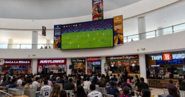 Cómo vivir el Mundial al máximo: recomendaciones para disfrutar el fútbol en comunidad